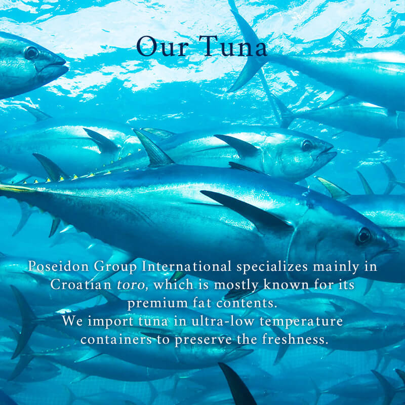 Our Tuna Poseidon Group International specializes mainly in Croatian toro, which is mostly known for its premium fat contents. We import tuna in ultra-low temperature containers to preserve the freshness.